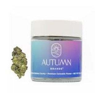 AUTUMN BRANDS - Autumn Brands 3.5g Frosted Fuel