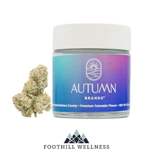 AUTUMN BRANDS - Autumn Brand - Purple Push Pop (I) 3.5g