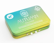 Autumn Brands - Preroll 10pk - Purple Carbonite - (I) 3.6g