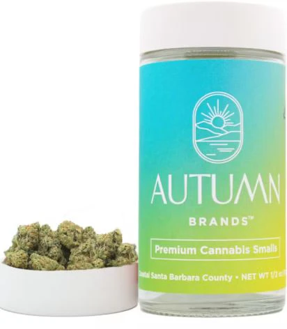 Autumn Brands - Autumn Brands Smalls 14g Sour Power #69 Main Image
