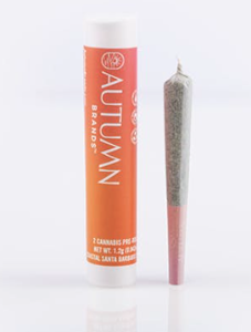 AUTUMN BRANDS - Autumn Brands - Preroll - 2pk - Space Station - (H) 1.2g