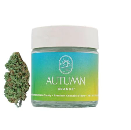Autumn Brands - Autumn Brands 3.5g Mango Haze Main Image
