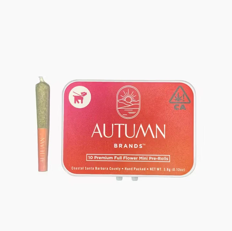 Autumn Brands - Autumn Brands - 10pk Mini Prerolls - Kinda Chic Main Image