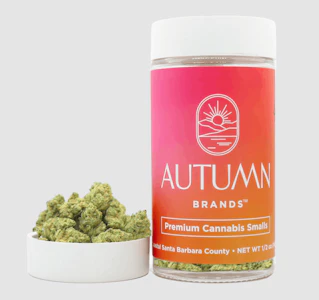 AUTUMN BRANDS - Autumn Brands Smalls 14g G-Runtz