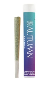 AUTUMN BRANDS - Autumn Brands Preroll 1g Purple Carbonite