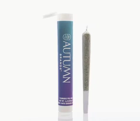 Autumn Brands - Autumn Brands Preroll 1g Sweet Lemon Gelato Main Image