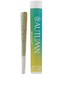 AUTUMN BRANDS - Autumn Brands Preroll 1g Ocean Haze