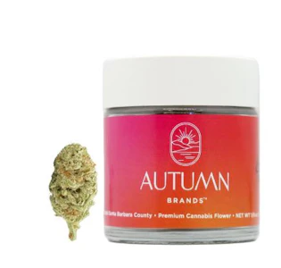 Autumn Brands - Autumn Brands 3.5g Mule Fuel