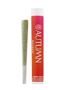 Autumn Brands | Wedding Cake | Preroll | 1g