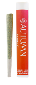 AUTUMN BRANDS - Autumn Brands Preroll 1g Let Her Cook