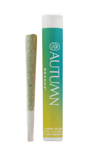 Autumn Brands - Autumn Brands Preroll 1g Slay Main Image
