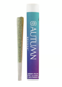 AUTUMN BRANDS - Autumn Brands Preroll 1g Purple Carbonite