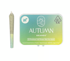 Autumn Brands | Mango Haze | Mini Pre-Roll 10pk | 3.6g