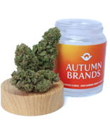 Autumn Brands - Gary - (I) 3.5g