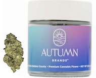 Autumn Brands 3.5g Purple Carbonite