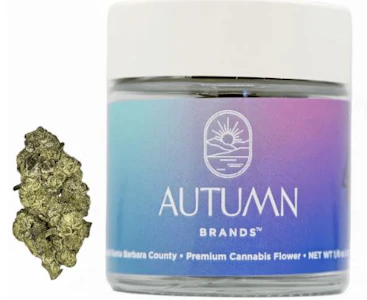 AUTUMN BRANDS - Autumn Brands 3.5g Purple Carbonite