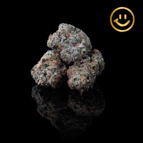 LOWD | Platinum Garlic Cookies | indoor flower