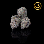 Excolo | Sticky Purpz | indoor flower