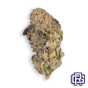 Baja Blasteroid Flower