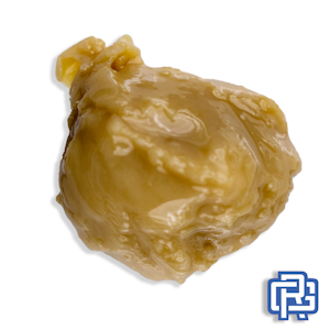 Forte - Banana Bottom Jeans Rosin Concentrate | 2g (73µ-159µ Live Hash Rosin)