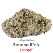 Pruf Cultivar Banana R*ntz