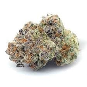 FLO - BANANA SHACK 1/4oz