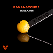 VIVID - BANANACONDA LIVE BADDER 1 GRAM