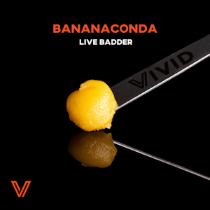 VIVID - VIVID - BANANACONDA LIVE BADDER 1 GRAM