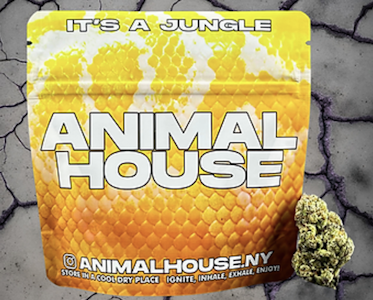 ANIMAL HOUSE - Animal House | Government Oasis  | Light Assist Flower | 3.5g