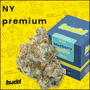 Blueberry Gumbo - 3.5g Premium Flower