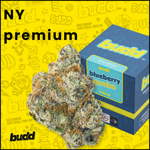 Budd - Blueberry Gumbo - 3.5g Premium Flower Main Image