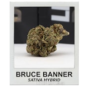 Bruce Banner