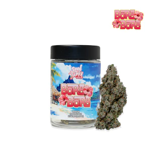 Seed Junky - Seed Junky - 7g Bigs - Bora Bora - Hybrid Main Image