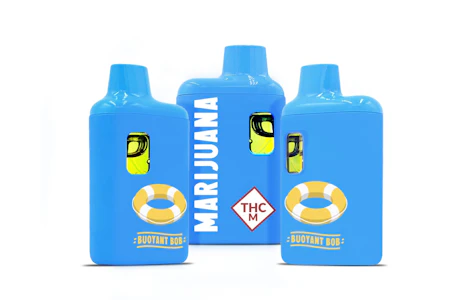 BUOYANT BOB - BUOYANT BOB - KAYAK CRUSH 1 GRAM DISPOSABLE VAPE