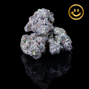 Rose Bud Growers | Ultra Violet | indoor flower