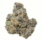BD Apple Fritter | 3.5g