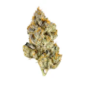 BD Lemon Cherry Gelato | 3.5g