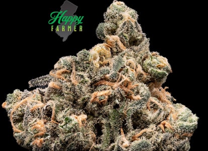 Happy Farmer - Happy Farmer | Blue Dream | 3.5g