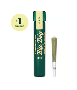 DOGWALKERS - Jack Herer Big Dog Pre-Roll - 0.75g
