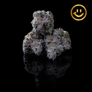 LOWD | Bomb Sauce | indoor flower