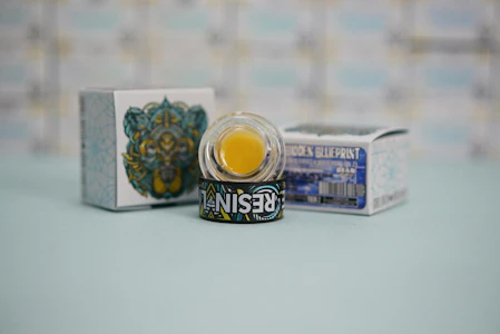 BEAR LABS - BEAR LABS | WHITETHORN PURPLE - BUDDER | EXTRACT | 1G