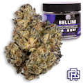 Bellini Flower | Eighth Special