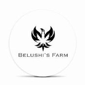BELUSHI'S FARM - HASHBURGER 0.5 GRAM PRE-ROLL