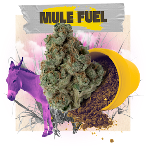 BELUSHI'S FARM - BELUSHI'S FARM - MULE FUEL 3.5 GRAMS