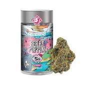 SLUGGERS | BERRY POPPINS | FLOWER | 5G