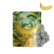 Seed Junky - Banana Fruz - Premium Indoor - Sativa - 3.5g