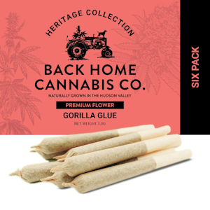Back Home Cannabis Company - Back Home Cannabis Company - Orange Dream - 6pk - Preroll