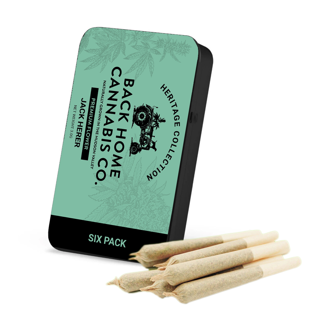 Back Home Cannabis Company | Jack Herer - 6pk Preroll - H