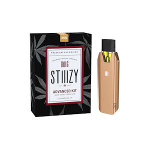 STIIIZY - BIIIG Starter Kit - Rose Gold