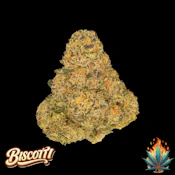 Native Fire *1/2 OZ* Biscotti
